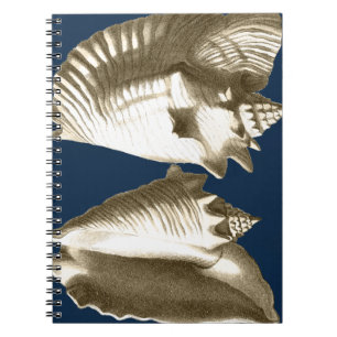 Sepia-TritonshornSeashells Notizblock