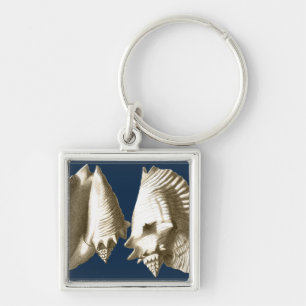 Sepia-TritonshornSeashells Schlüsselanhänger