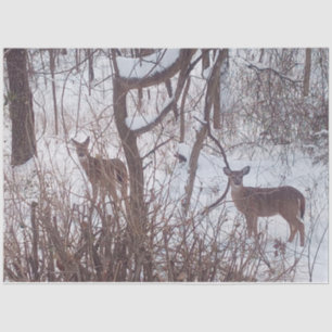 Sepia-Winter-Schnee-und-Hirsch-Foto Seidenpapier
