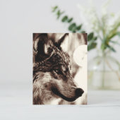 Sepia Wolf Face & Moon Postcard Postkarte (Stehend Vorderseite)
