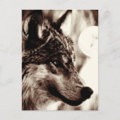 Sepia Wolf Face & Moon Postcard Postkarte (Vorderseite)