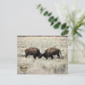 Sepia-Yellowstone-Bison-Kampf Postkarte (Stehend Vorderseite)