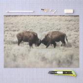 Sepia-Yellowstone-Bison-Kampf Seidenpapier (Handwerk)