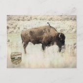 Sepia-Yellowstone-Bison mit Vogel Postkarte (Vorderseite)