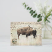 Sepia-Yellowstone-Bison mit Vogel Postkarte (Stehend Vorderseite)
