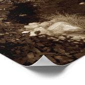 Sepia Yosemite Valley Poster (Ecke)