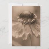 Sepia Zinnia Blume Hochzeit Einladung (Rückseite)