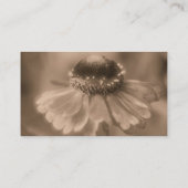 Sepia Zinnia Flower Fotografy Business Card Visitenkarte (Rückseite)