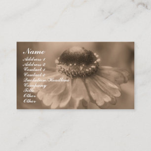 Sepia Zinnia Flower Fotografy Business Card Visitenkarte