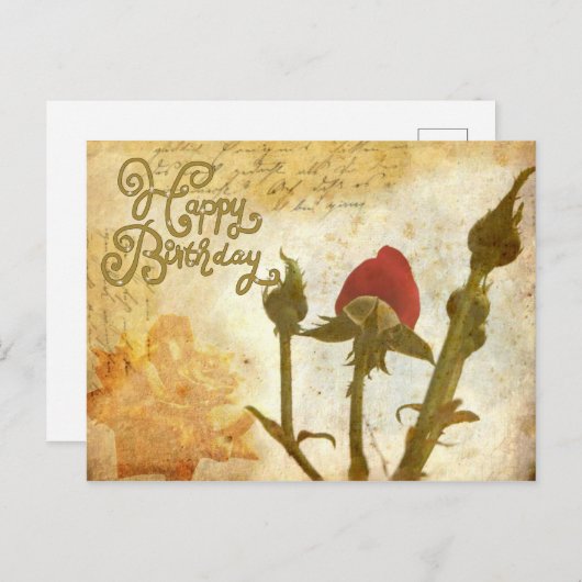 Sepiarose Postkarte (Vorne/Hinten)