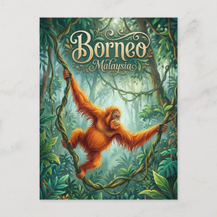 Sepilok Orang-Utan Rehabilitationszentrum Malaysia Postkarte