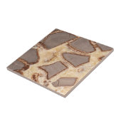 Septarisches Knötchen Kreuzung interessante Felsen Fliese (Seite)