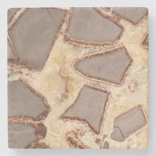 Septarisches Knötchen Kreuzung interessante Felsen Steinuntersetzer (Vorderseite)