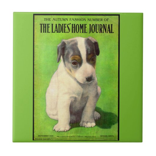 September 1906 Ladys Zuhause Journal Fliese (Vorderseite)