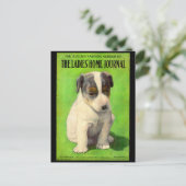 September 1906 Ladys Zuhause Journal Postkarte (Stehend Vorderseite)