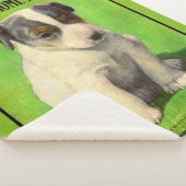 September 1906 Ladys Zuhause Journal Sherpadecke (3/4)