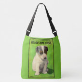 September 1906 Ladys Zuhause Journal Tragetaschen Mit Langen Trägern (Vorderseite)