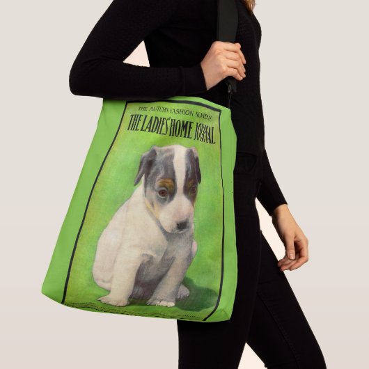 September 1906 Ladys Zuhause Journal Tragetaschen Mit Langen Trägern (Von Nahem)