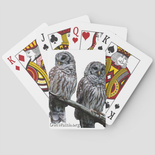 September 2014 - OwlWatch Owls Spielkarten (Rückseite)