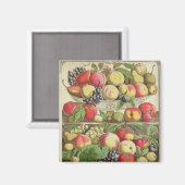 September ab "Zwölf Monate Obst" Magnet (Vorderseite/Rückseite)