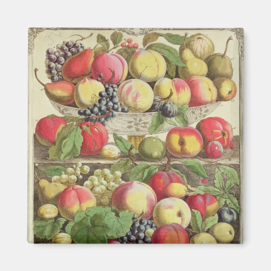 September ab "Zwölf Monate Obst" Magnet (Vorne)