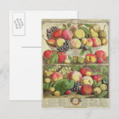September ab "Zwölf Monate Obst" Postkarte (Vorne/Hinten)