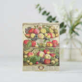 September ab "Zwölf Monate Obst" Postkarte (Stehend Vorderseite)