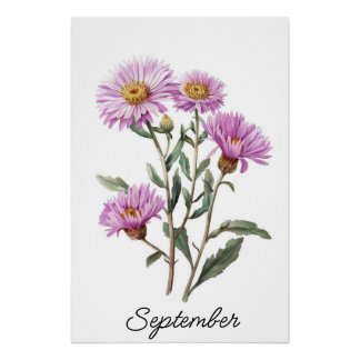 September Aster Birth Blume Vintag Botanisch Poster