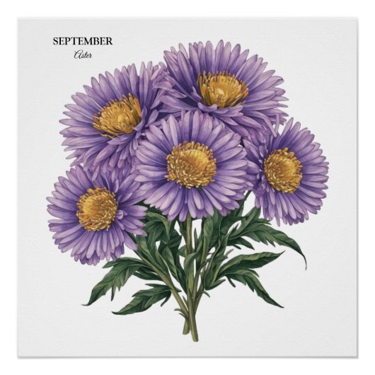 September Aster Birth Monat Custom Floral Art Poster (Vorderseite)