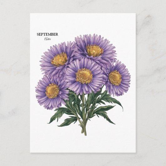 September Aster Birth Monat Custom Floral Art Postkarte (Vorderseite)