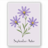 September-Aster-Blumen-Aufkleber Aufkleber (Vorderseite)