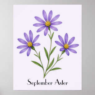 September-Aster-Blumen Poster