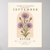 September-Aster-Geburtsblumenposter Poster (Vorne)