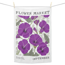 September Blume Markt Lila Morgenruhm
