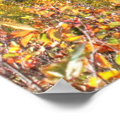 September Colors Poster (Ecke)