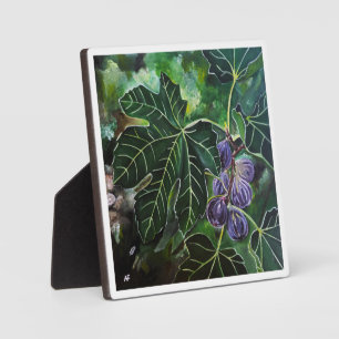 September-Feigen und Sommerlicht von Alfred Fox Fotoplatte