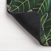 September-Feigen und Sommerlicht von Alfred Fox Mousepad (Ecke)