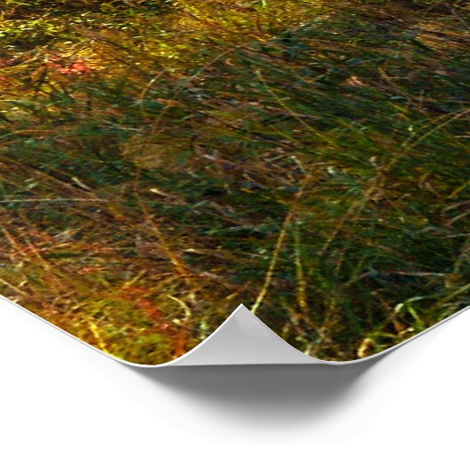 September Forest Poster (Ecke)
