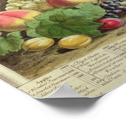 September, from 'Twelve Months of Fruits' Poster (Ecke)