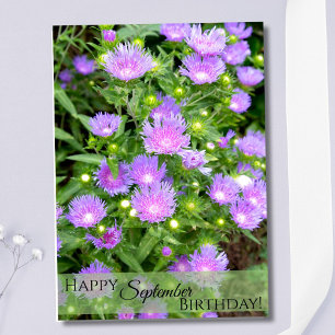 September-Geburtsblume Violette Stoker Astern Karte