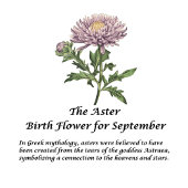 September Geburtstag Monat Blume Aster 16 oz Thermosbecher