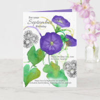 September Geburtstag Morning Glory Asters Botanisc