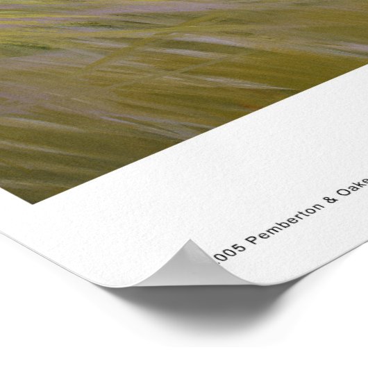 September Girl Poster (Ecke)