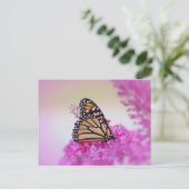 September Monarch Butterfly Postkarte (Stehend Vorderseite)