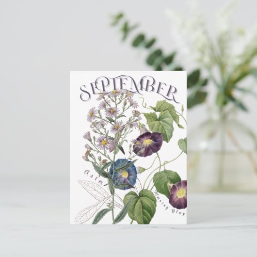September Monat Blume Aster Morning Glory Extravag Postkarte (Stehend Vorderseite)