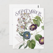 September Monat Blume Aster Morning Glory Extravag Postkarte (Vorne/Hinten)