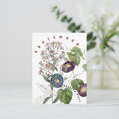 September Monat Blume Aster & Morning Glory | Postkarte (Stehend Vorderseite)