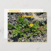 SEPTEMBER POSTCARD POSTKARTE (Vorne/Hinten)