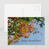 September Postkarte (Vorne/Hinten)