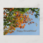 September Postkarte (Vorderseite)